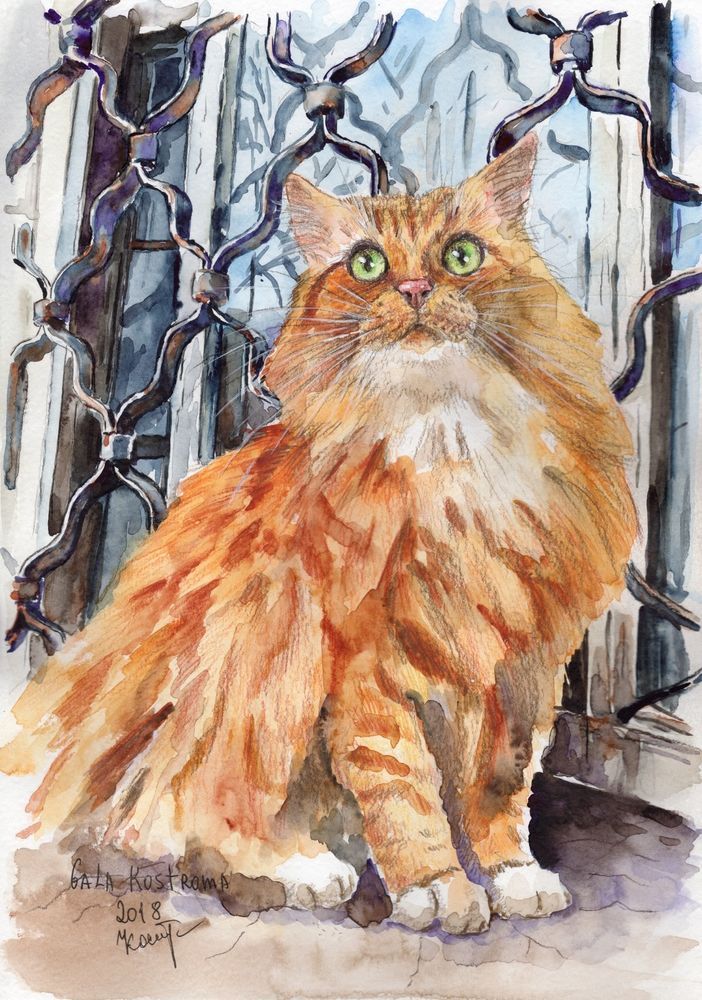 Кот №2