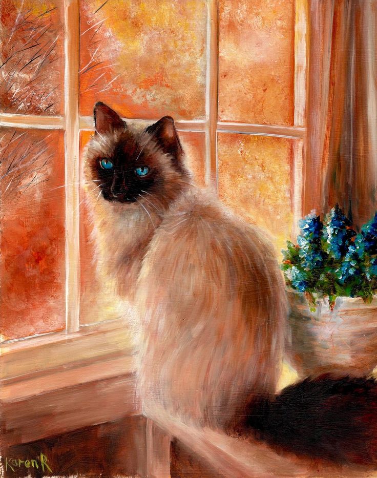 Кот №3