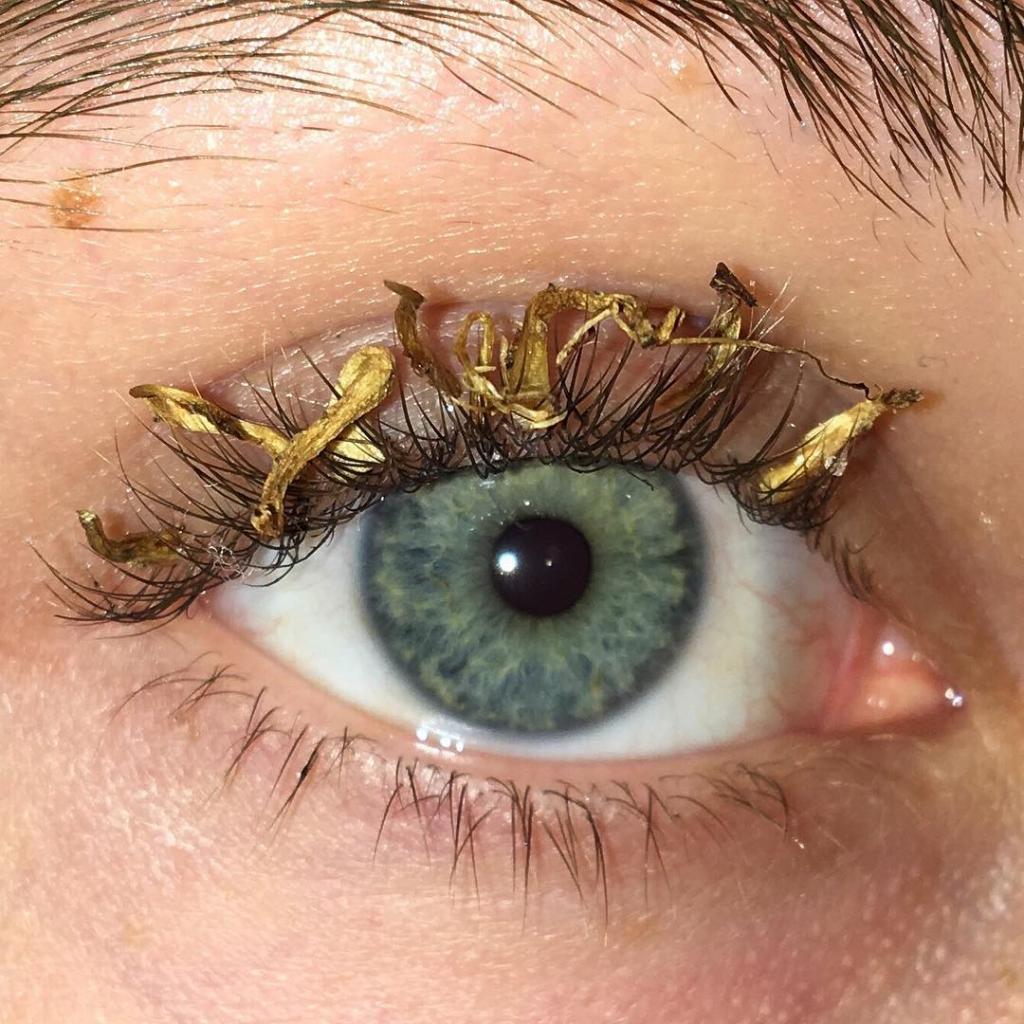 Новый тренд в наращивании ресниц: «модные» кудрявые ресницы 