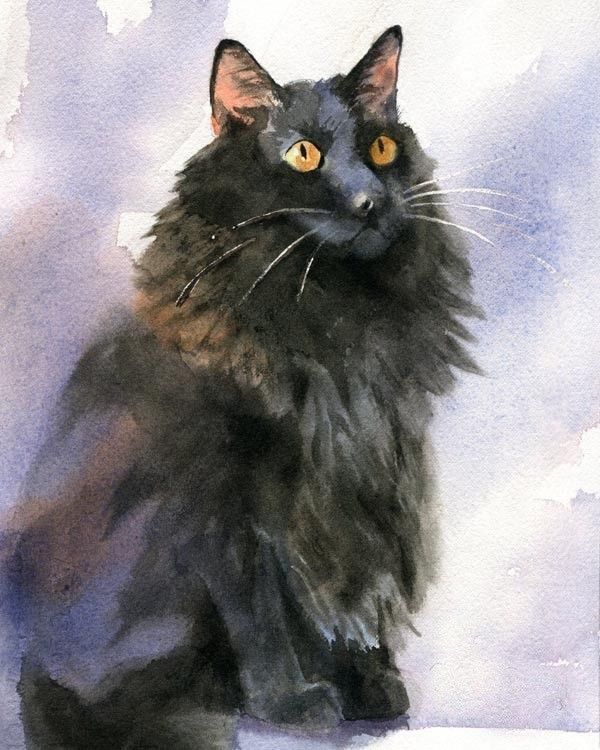 Кот №1