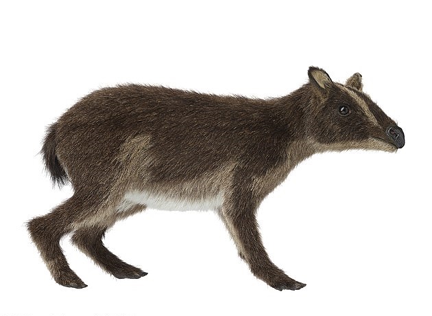 Палеонтологи показали, как выглядела первобытная лошадь - больше похоже на собаку