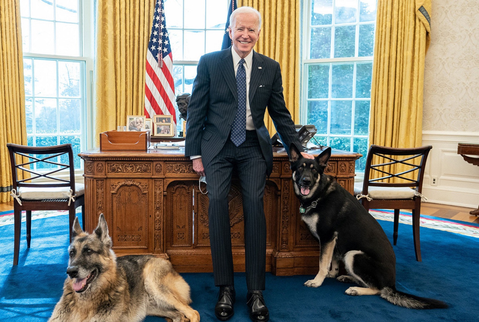 Собак Байдена выдворили из Белого дома за ненадлежащее поведение