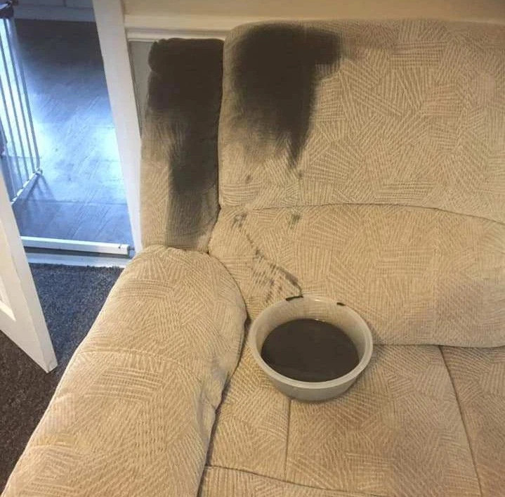 Теперь лучше нового: женщина преобразила старый диван, используя «тканевую» краску