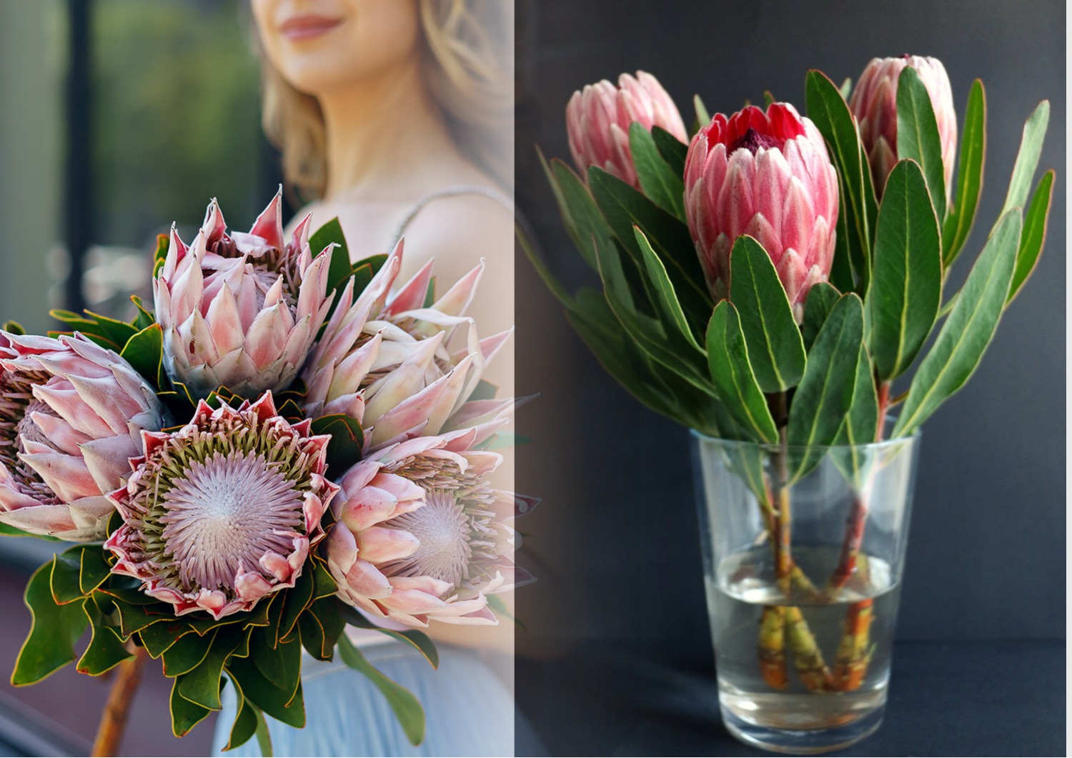 Названы цветы, которые удивят любую женщину 8 Марта 