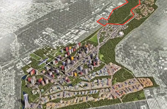 Ростовчане обязали мэрию рассмотреть сохранение рощи у старого аэропорта