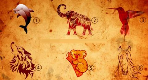 Тест: Выберите своё тотемное животное и узнайте о себе правду