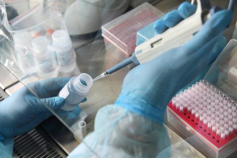 коронавирус