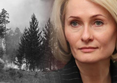 Коллаж: лесной пожар и Заместитель председателя правительства Виктория Абрамченко