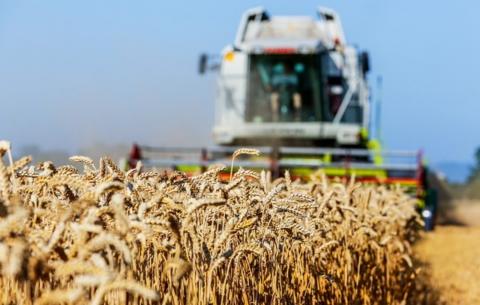 Сельское хозяйство