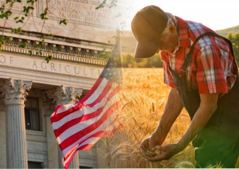 Минсельхоз США и поле пшеницы Минсельхоз США и поле пшеницы