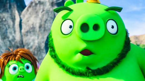 свинья из Angry Birds