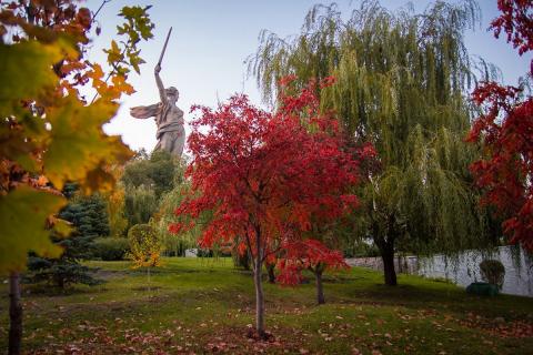 Бабье лето в Волгограде наступит примерно в первой декаде октября Бабье лето 2020 в Волгоградской области: когда наступит, каким оно будет и сколько продлится