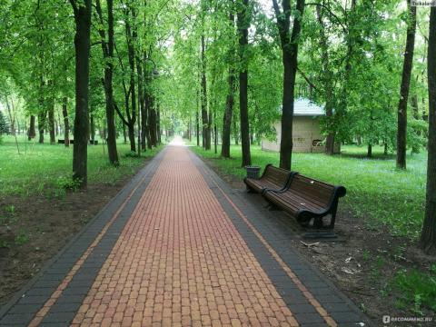 Преображение парка