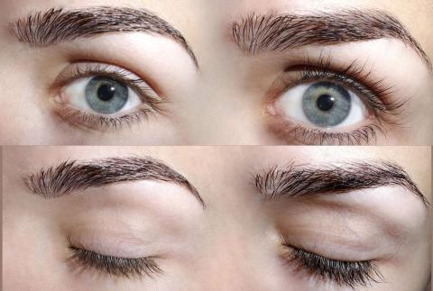 Как отрастить шикарные брови – без татуажа и карандаша: «лайфхак» с чесноком Как отрастить шикарные брови – без татуажа и карандаша: «лайфхак» с чесноком