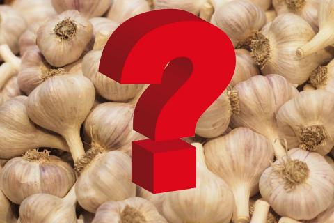 Защищает ли чеснок от коронавируса: правда или ложь Защищает ли чеснок от коронавируса: панацея или пустышка