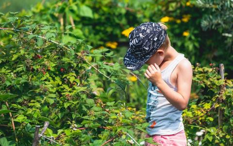 Мальчик в деревне