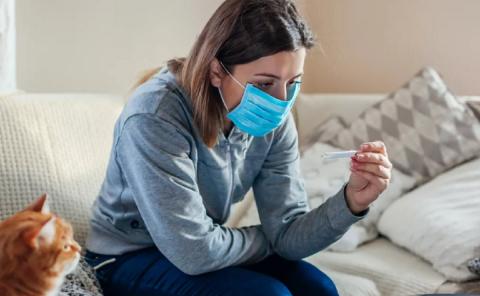 В Севастополе пациентов с легкой формой COVID-19 будут лечить на дому Лечение ковида на дому в Севастополе