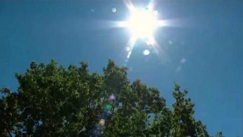 Тишковец предупредил о приближении засухи, которая случается раз в 10 лет