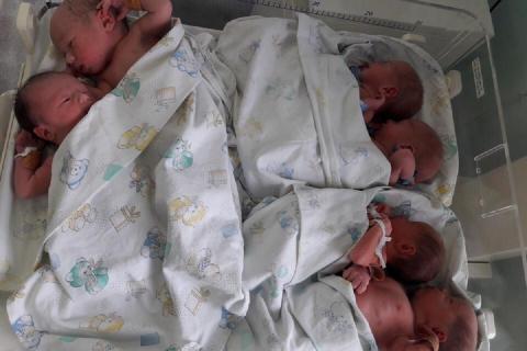 три двойни двойняшки фото