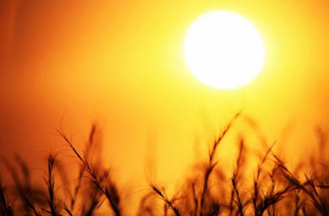 Жара в Астрахани