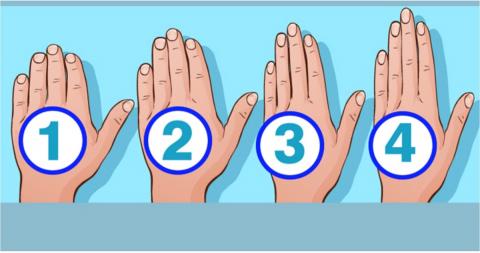 Характер_по_форме_руки_тест_психология_хиромантия_характер_по_внешности_выбери_руку