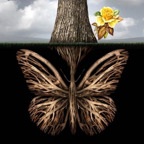 Тест: Первое, что вы увидите, покажет ваше беспокойство на подсознательном уровне