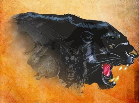 Тест на характер покажет скрытый талан, которым вы не пользуетесь