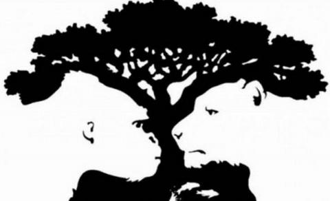 Тест: узнай всю подноготную о своей внутренней силе