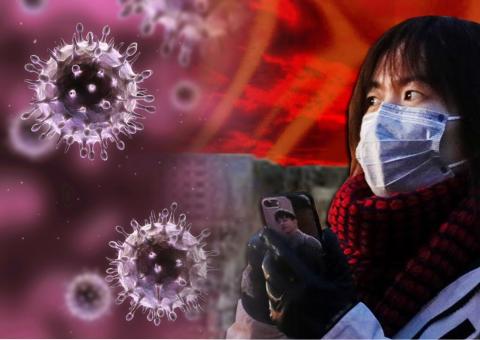 вирус в Китае новый смертельный вирус