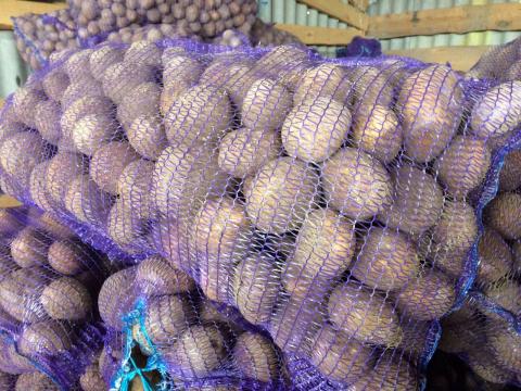 Фермеры назвали овощ, который сильно подорожает осенью