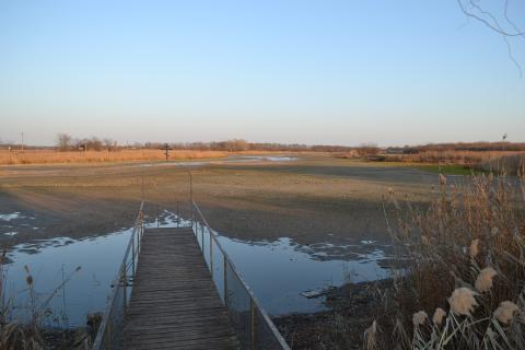 На Кубани высыхает река Кирпили – масштабы экологической катастрофы потрясают