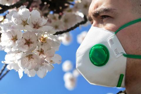 Профессор Анатолий Альтштейн рассказал, остановит ли весеннее тепло коронавирус весна не остановит коронавирус