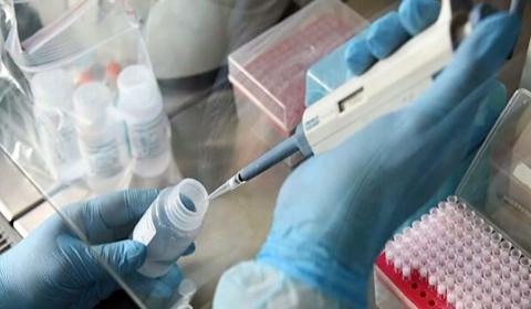 В Волгоградской области полицейский заболел COVID-19 лаборант делает анализ на коронавирус