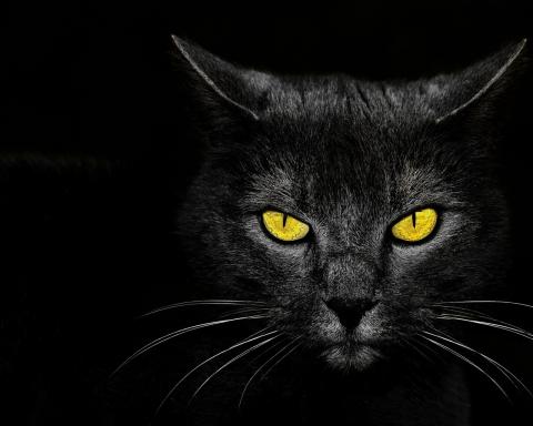 Психологический тест на черты личности: узнай, какие эмоции ожидают тебя совсем скоро