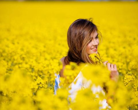 Девушка в желтом фото Девушка в поле цветов фото