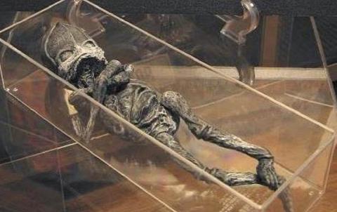 кыштымский карлик