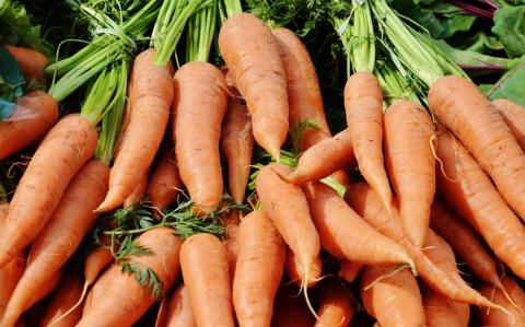 Морковь Морковь