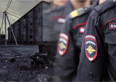 МВД хочет наделить полицию правом стрелять на поражение МВД может существенно расширить полномочия полиции