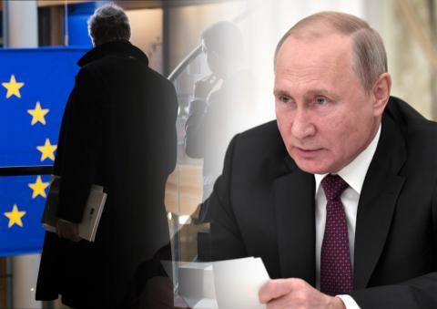 В Финляндии прокомментировали решение Путина о запрете вывоза древесины