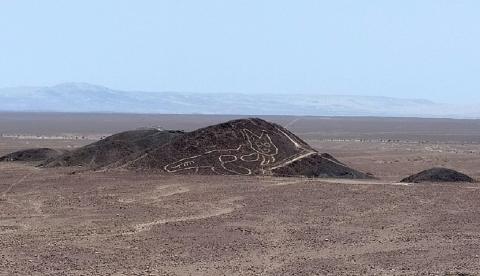 рисунок кота на плато Наска