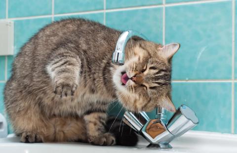 В Астрахани без горячей воды останутся три района