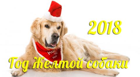Новый год 2018 Собаки: картинки
