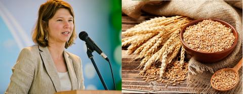 Оксана Лут, зерно