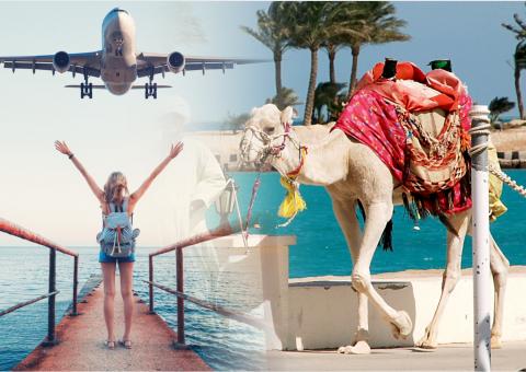 Отдых в египте, картинка Отдых в египте