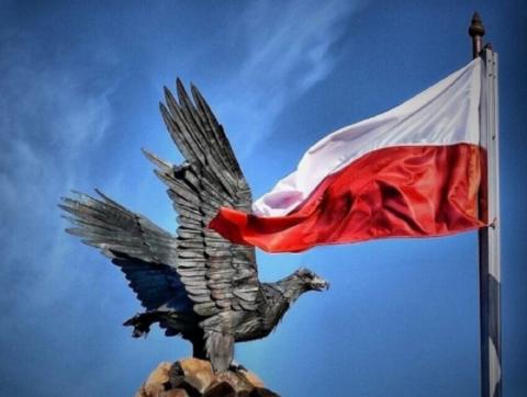 Россияне доходчиво ответили Польше на «превращение» Германии в «мини-Россию»