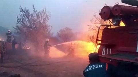 лесной пожар картинка