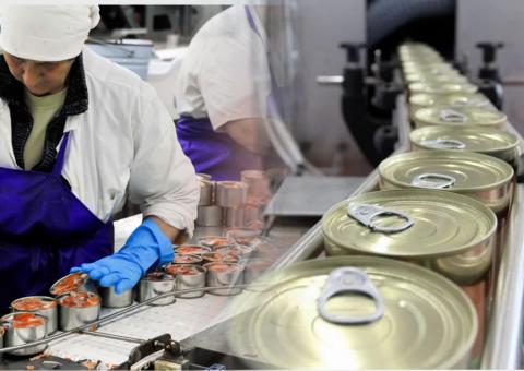 Выпуск рыбных консервов Производство рыбных консервов