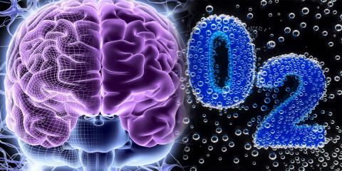 Работа мозга кислород кровообращение