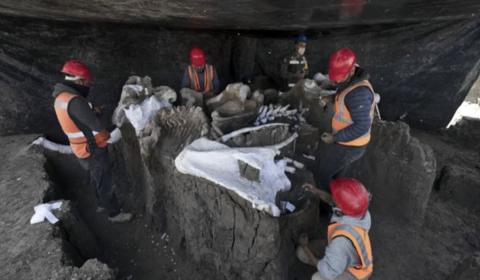 раскопки в Мексике