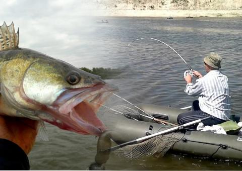 Рыбалка на Дону Рыбалка на Дону